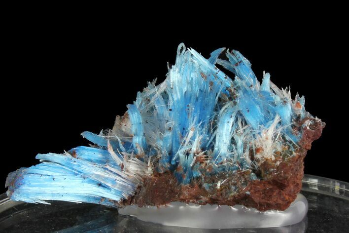 Vibrant Blue Chalcanthite - Planet Mine, Arizona #176486